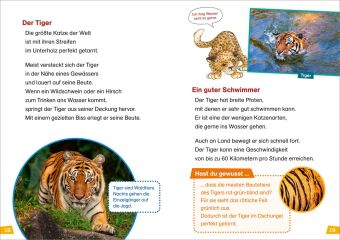 WAS IST WAS Erstes Lesen Band 17. Raubkatzen