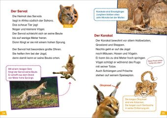 WAS IST WAS Erstes Lesen Band 17. Raubkatzen