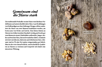 Das große kleine Buch: Harz- und Pechsalben