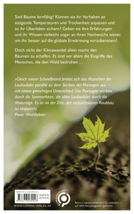 Der lange Atem der Bäume