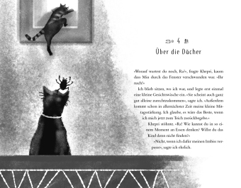 Ein Fall für Katzendetektiv Ra Das verschwundene Amulett 