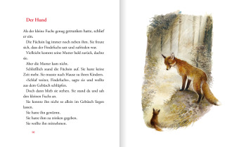 Der Findefuchs - Wie der kleine Fuchs eine Mutter bekam