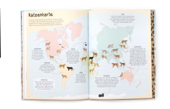 Das Katzen-Buch