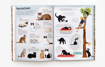 Das Katzen-Buch