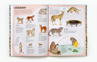 Das Katzen-Buch