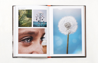 Fotografieren mit dem Smartphone