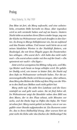 Rückkehr nach Irland