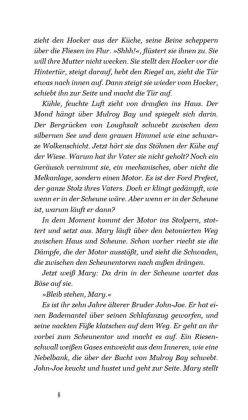 Rückkehr nach Irland