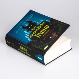 Disney. Twisted Tales: Wie ein unendlicher Traum (Dornröschen)