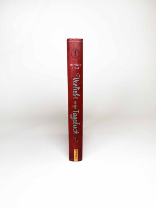 Verliebt in ein Tagebuch (Band 1)