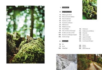 Wild - Wald - Genuss