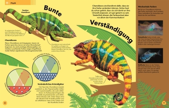 Tierisch clever