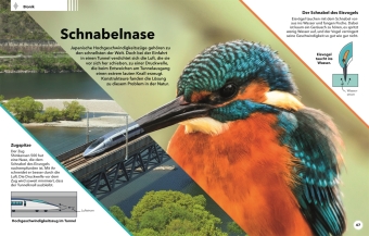 Tierisch clever