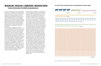 Vegane Ernährung für Einsteiger