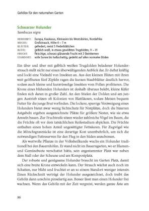 Lebensraum Gehölz