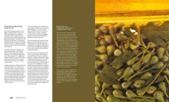 Fermentation