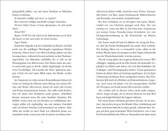 Vielleicht irgendwann (Vielleicht-Trilogie, Band 3)