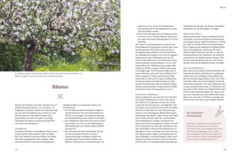 Pflegeleichte Naturgärten gestalten