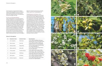 Pflegeleichte Naturgärten gestalten