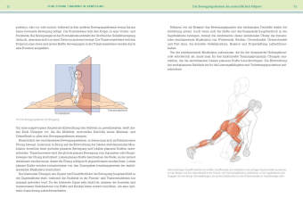 Functional-Training-Anatomie