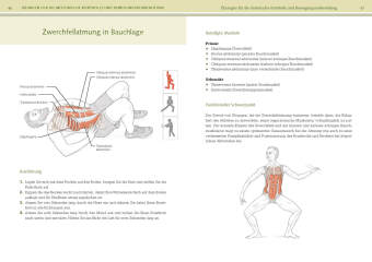 Functional-Training-Anatomie
