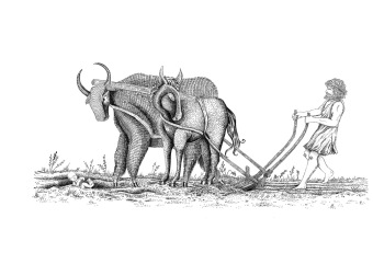 Der Sohn des Odysseus
