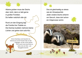 Zuhause bei den Waldtieren 