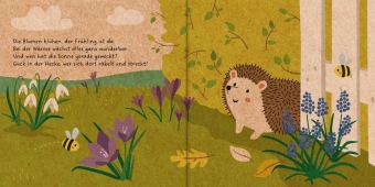 Meine Gartenfreunde. Der kleine Igel