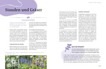 Gärtnern für Gartenneulinge