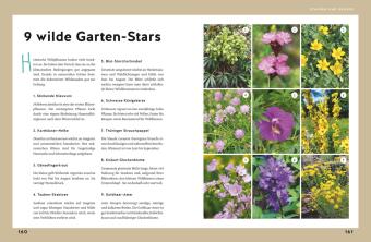Gärtnern für Gartenneulinge