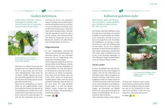 Gärtnern für Gartenneulinge