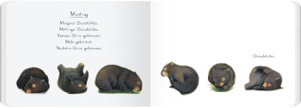Tagebuch eines Wombat