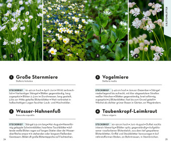 BASIC Blumen