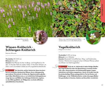 BASIC Blumen