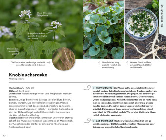 BASIC Früchte und Wildkräuter