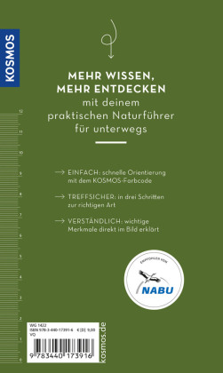BASIC Insekten
