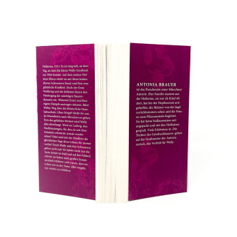 Die Töchter des Geistbeckbauern 