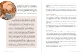 Nachhaltigkeit für Kinder erzählen