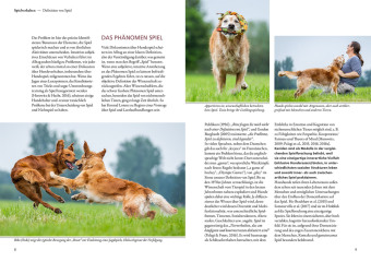 Und sie spielen doch! 