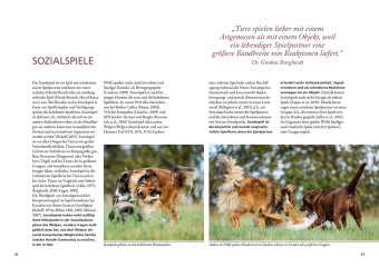 Und sie spielen doch! 