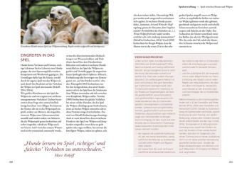 Und sie spielen doch! 