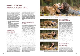 Und sie spielen doch! 