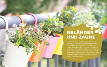 Begrünen was geht
