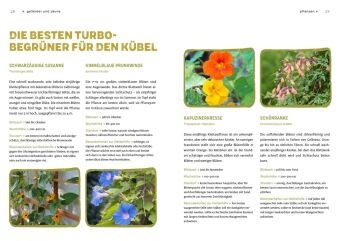 Begrünen was geht