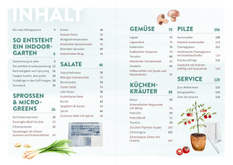 Endlich Mittagspause! Indoor-Gärtnern zwischen Mails und Meetings mit Pflücksalat, Sprossen & Co. 