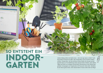 Endlich Mittagspause! Indoor-Gärtnern zwischen Mails und Meetings mit Pflücksalat, Sprossen & Co. 