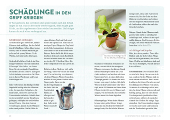 Endlich Mittagspause! Indoor-Gärtnern zwischen Mails und Meetings mit Pflücksalat, Sprossen & Co. 