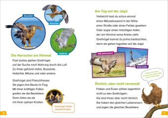 WAS IST WAS Erstes Lesen Band 18. Greifvögel