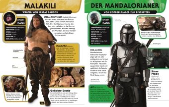 Star Wars(TM) Lexikon der Helden, Schurken und Droiden