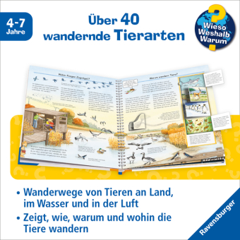 Wieso? Weshalb? Warum? Band 37 - Alles über Tierwanderungen